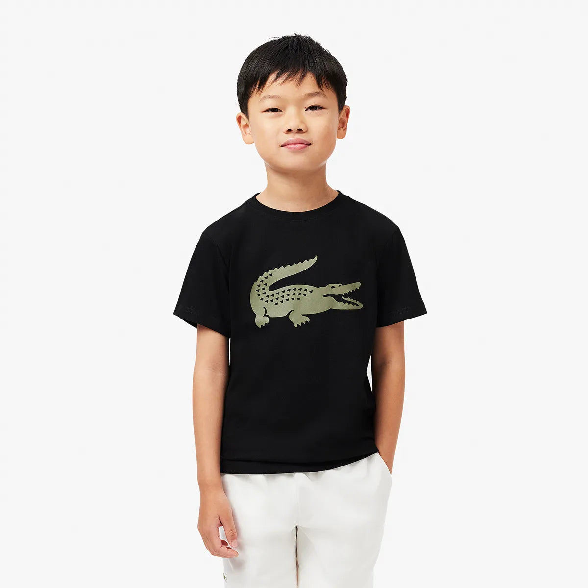 CAMISETA LACOSTE JUNIOR CROCO