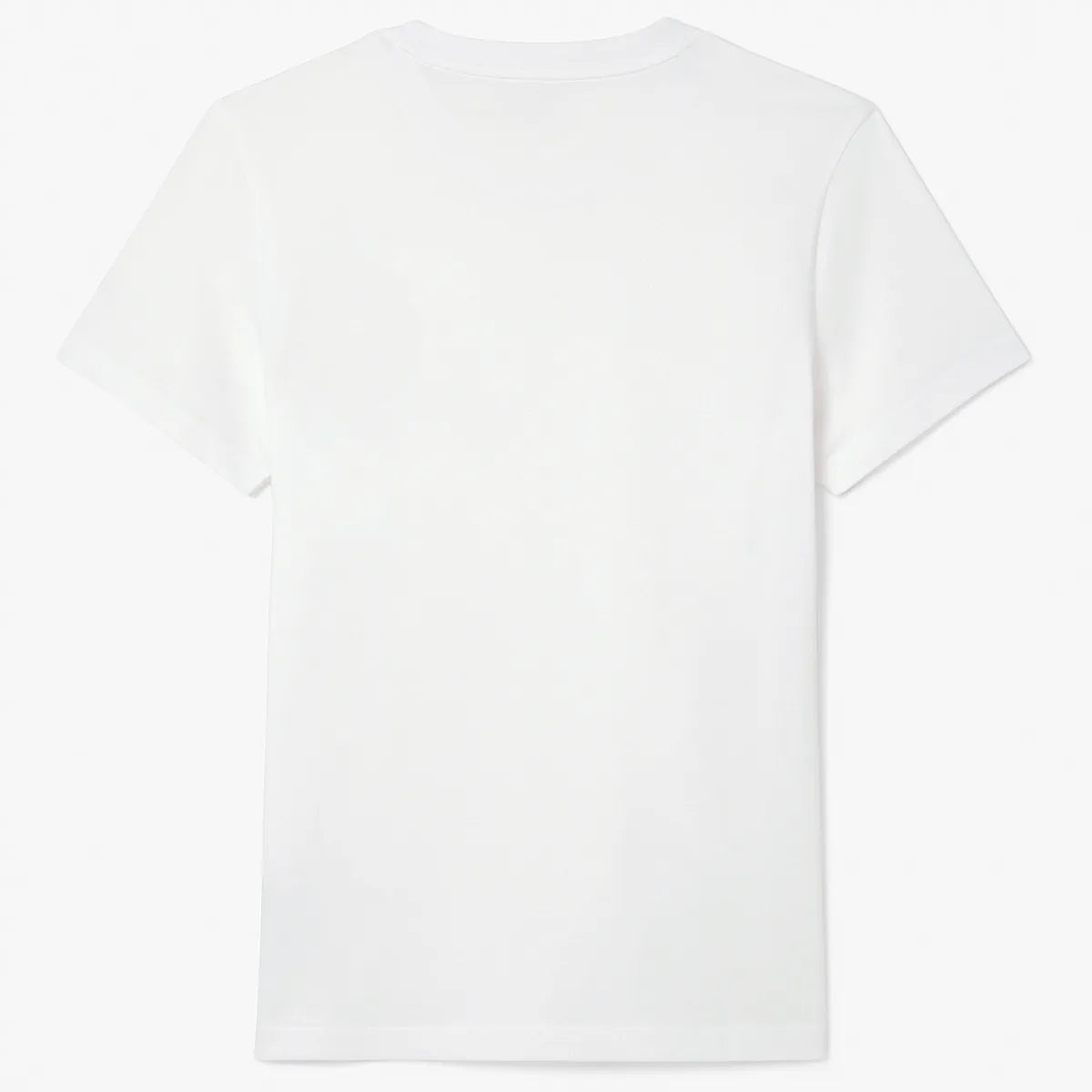 PACK FAN LACOSTE DJOKOVIC CAMISETA + GORRA