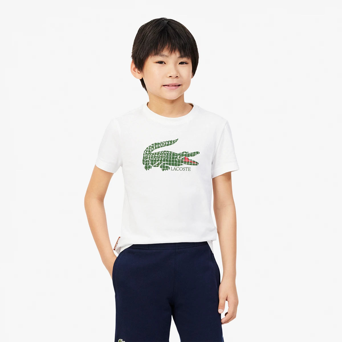 CAMISETA LACOSTE JUNIOR ROLAND-GARROS