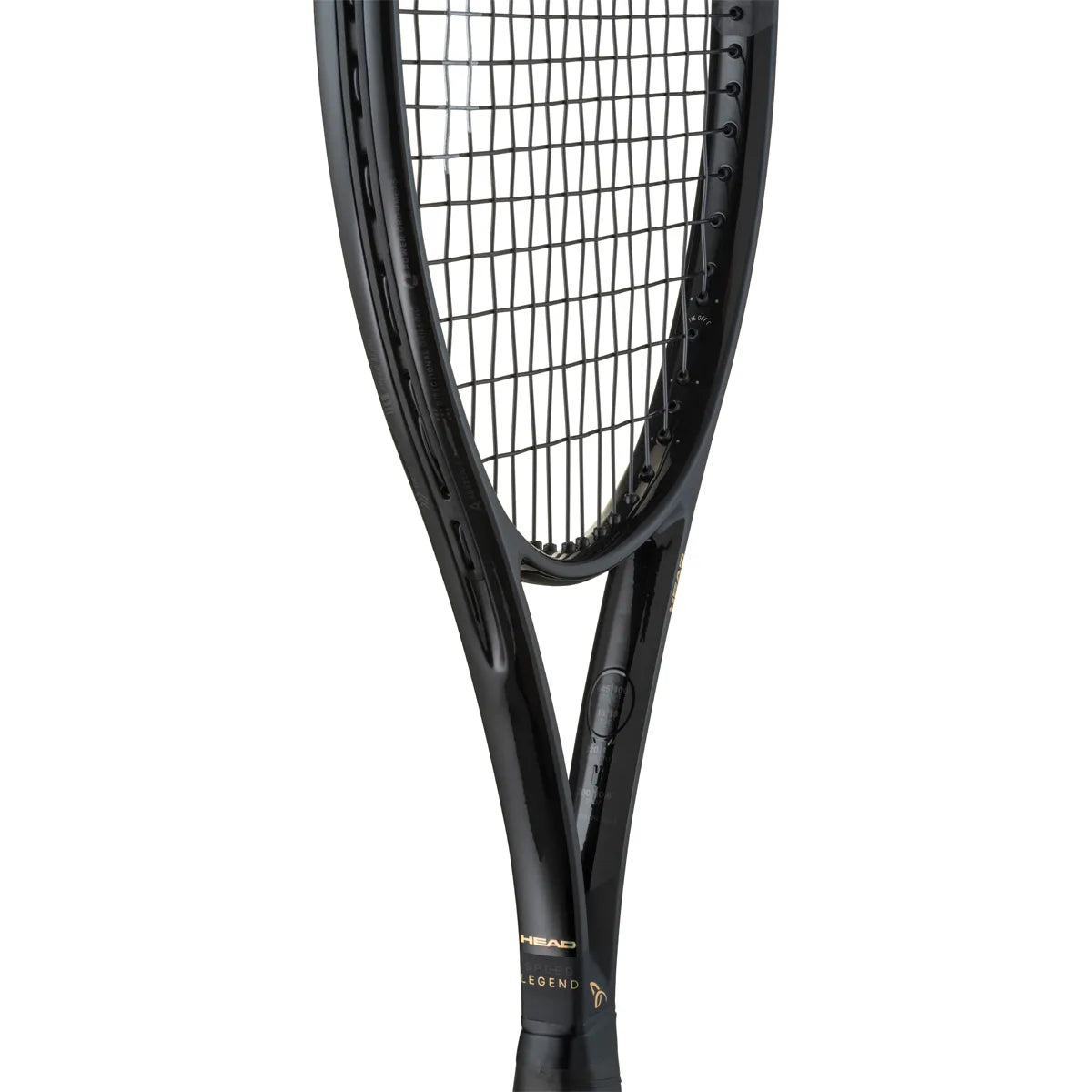 RAQUETA HEAD SPEED PRO LEGEND 2026 (310 GR)