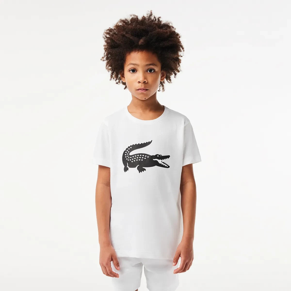 CAMISETA LACOSTE JUNIOR CROCO