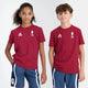 CAMISETA LE COQ SPORTIF JUNIOR FRANCE OLYMPIQUE VILLAGE