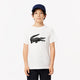 CAMISETA LACOSTE JUNIOR CROCO