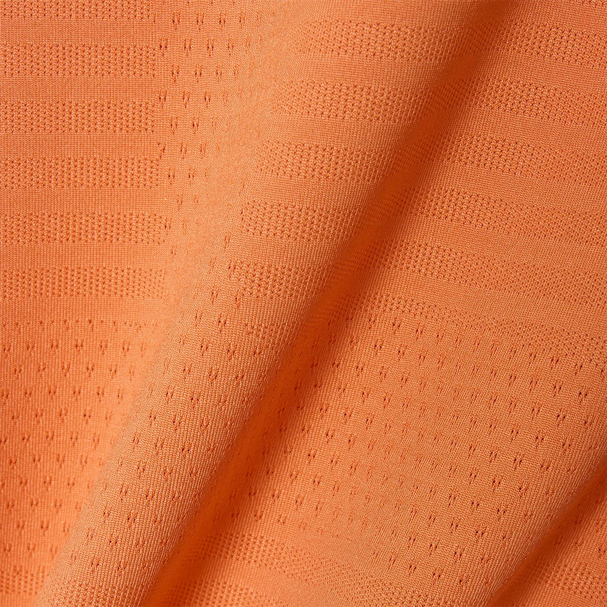 CAMISETA LACOSTE DIMITROV EURO CLAY
