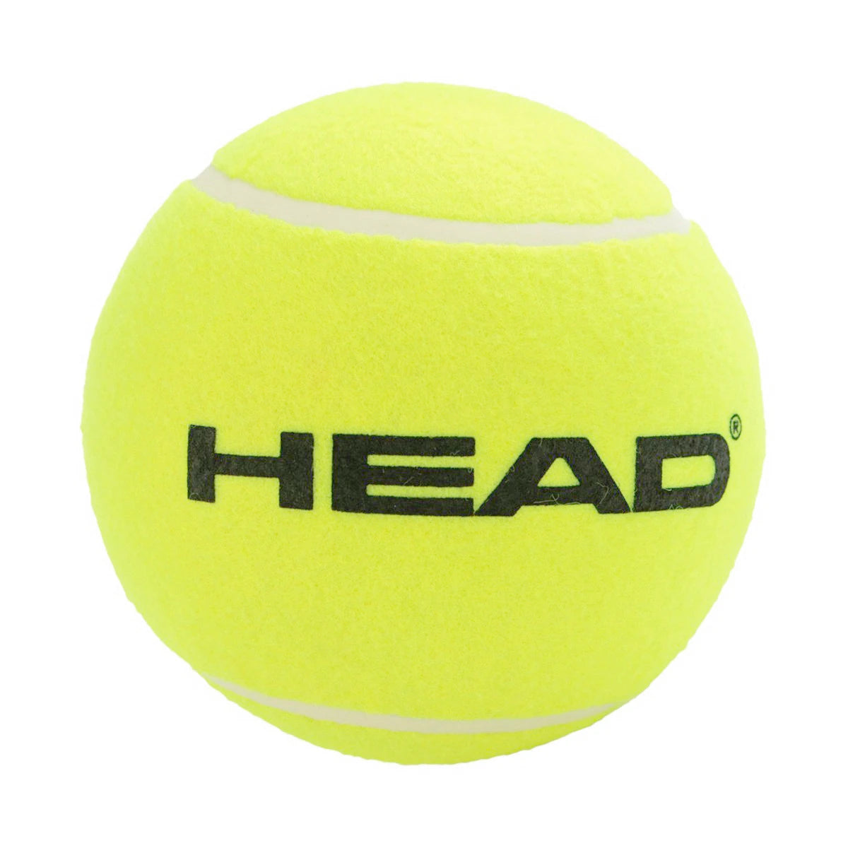PELOTA MEDIA HEAD
