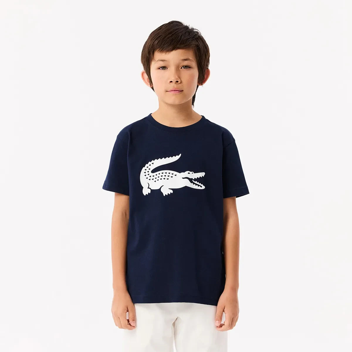 CAMISETA LACOSTE JUNIOR CROCO