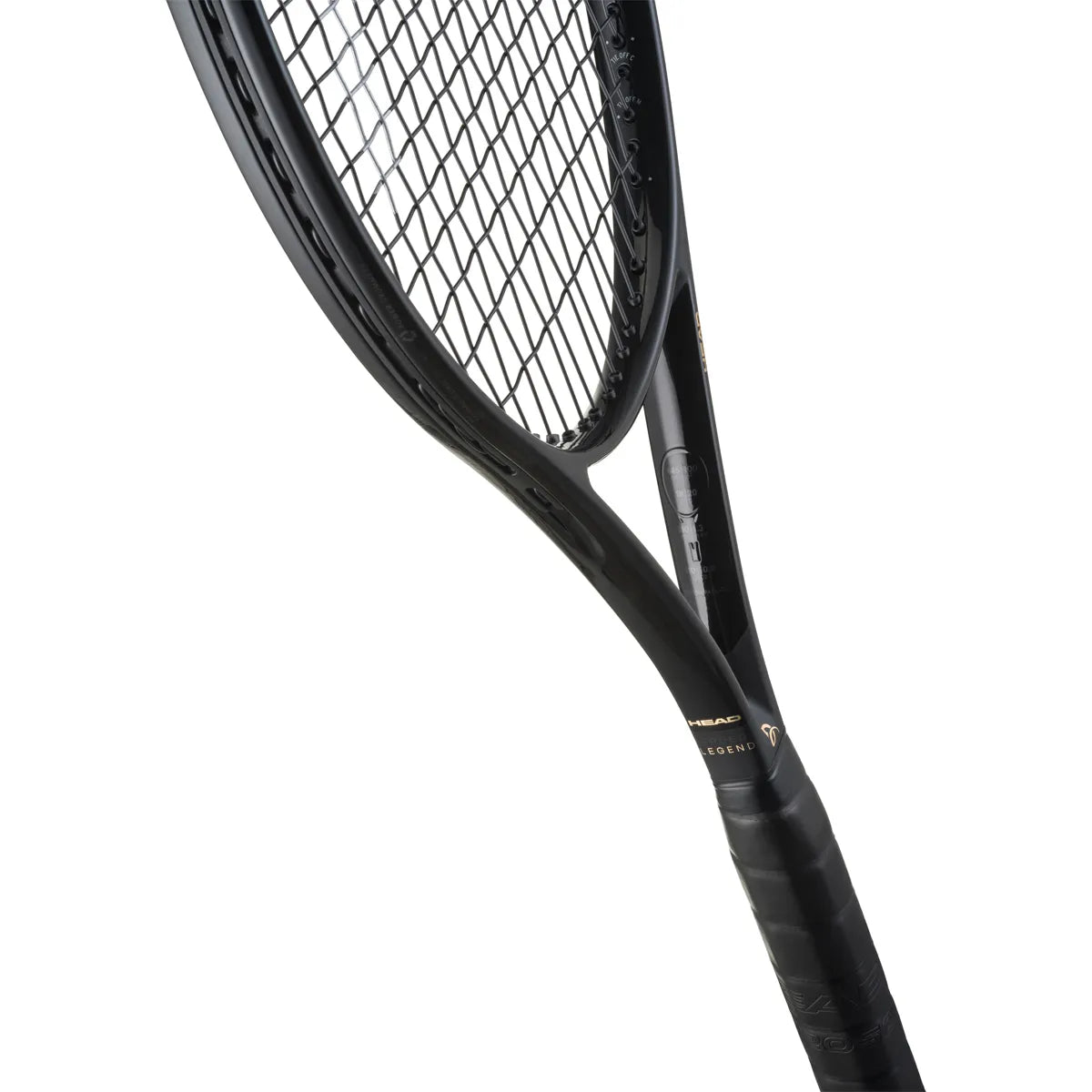 RAQUETA HEAD SPEED PRO LEGEND 2026 (310 GR)