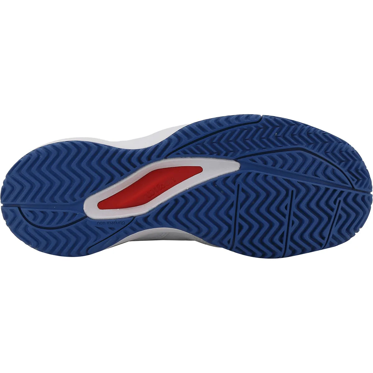 Zapatillas Wilson Junior Rush Pro Ace Todas Superficies