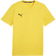 CAMISETA PUMA CASUAL TEAM GOAL