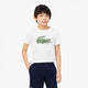 CAMISETA LACOSTE JUNIOR ROLAND-GARROS
