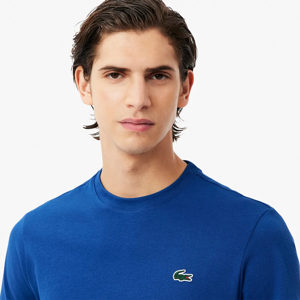 CAMISETA LACOSTE CORE PERFORMANCE CROCO GRAPHIC