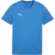 CAMISETA PUMA CASUAL TEAM GOAL