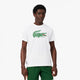 CAMISETA LACOSTE ROLAND GARROS