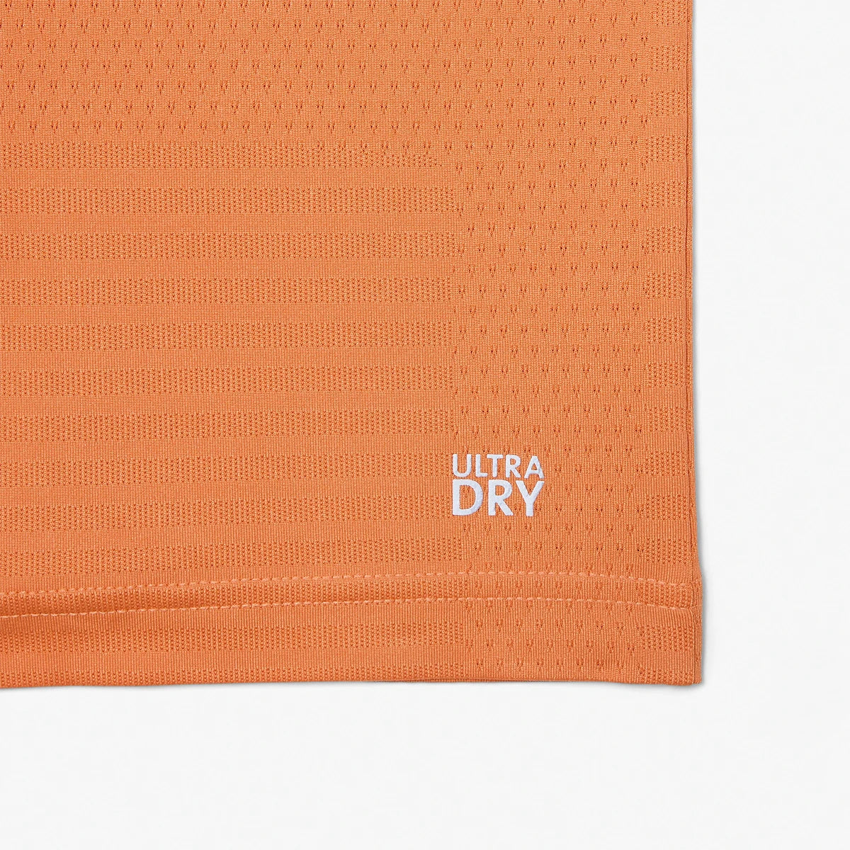 CAMISETA LACOSTE DIMITROV EURO CLAY