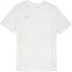 CAMISETA PUMA CASUAL TEAM FINAL