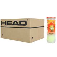 CAJA DE 24 BOTES DE 3 PELOTASS HEAD TIP NARANJA