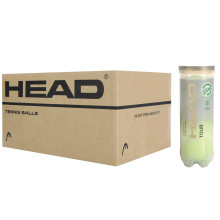 CAJA DE 24 BOTES DE 3 PELOTAS HEAD TOUR