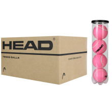 CAJA DE 18 BOTES DE 4 PELOTAS HEAD CHAMPIONSHIP ROSA