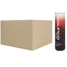 CAJA DE 24 TUBOS DE 4 BOLAS SOLINCO