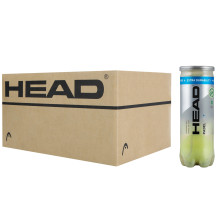 CAJA DE 24 TUBOS DE 3 CABEZAS PRO + PELOTAS DE PADEL